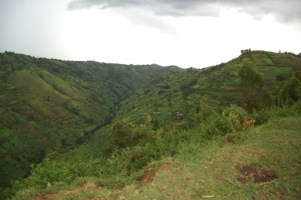 Great Rwanda Safari 