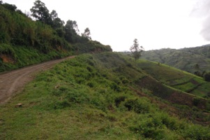 Great Rwanda Safari 